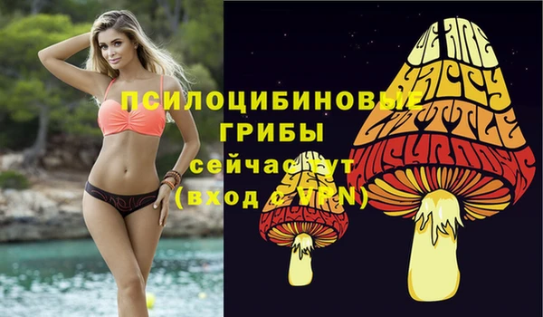тгк Заводоуковск