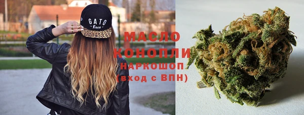 тгк Заводоуковск