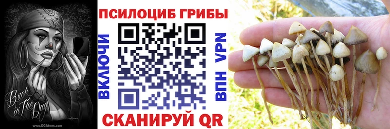 Купить  Вуктыл  Галлюциногенные грибы Cubensis 